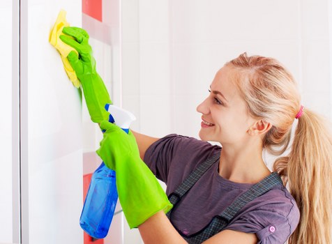 Professional Cleaners Croydon team introducing the company