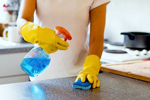 Cleaning team using sustainable waste sorting and recycling practices in Croydon
