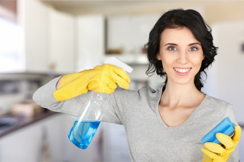 Professional house cleaning supplies in a Croydon property