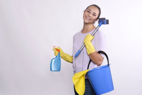 Kitchen cleaning in a Croydon home with polished surfaces