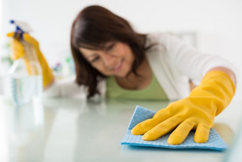 Croydon cleaning team handling detailed domestic cleaning tasks