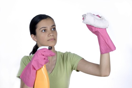 Experienced Croydon cleaners focused on quality service