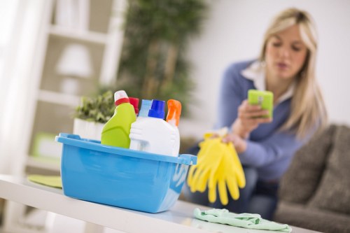 Deep cleaning and maintenance for a Croydon business office
