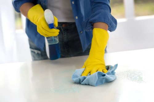 Deep carpet cleaning for busy Croydon properties