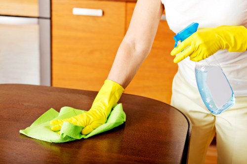 Stain removal and carpet care service in a Croydon home