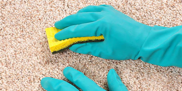 Croydon Carpet Cleaning | Rug Cleaning CR0 Croydon